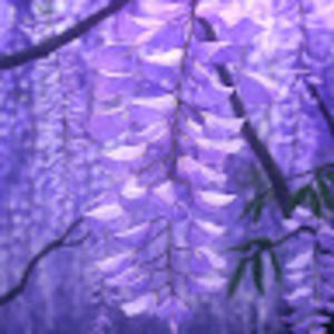 Meet your Posher, Heidi